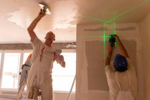 Best Mold Damage Restoration  in Post, TX